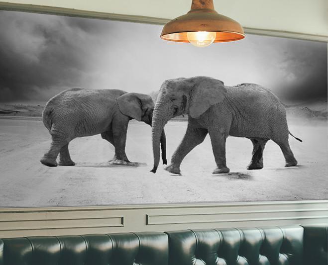 Dual Elephant Wall Mural-Animals & Wildlife-Eazywallz