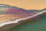 Papier Peint Photo Flamants Roses dans le Ciel II