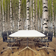 Grove of Birch Trees Wall Mural-Landscapes & Nature-Eazywallz