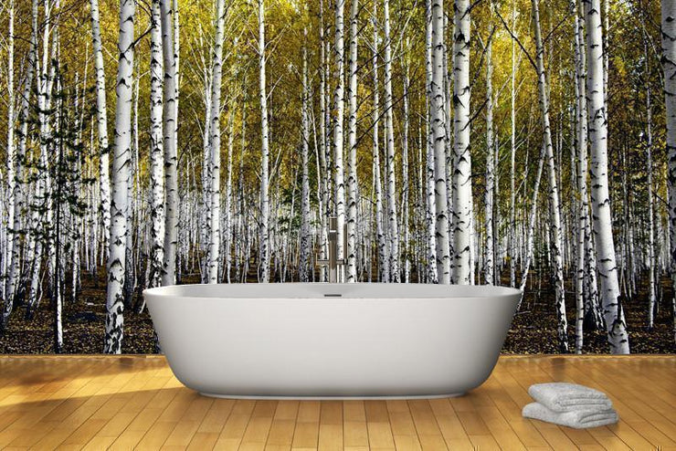 Autumn birch forest Wall Mural-Landscapes & Nature-Eazywallz