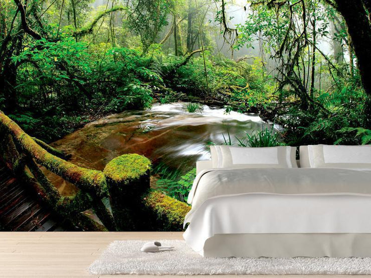 Beautiful rainforest Wall Mural-Landscapes & Nature-Eazywallz