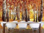 Birch Forest in Fall Wall Mural-Landscapes & Nature-Eazywallz