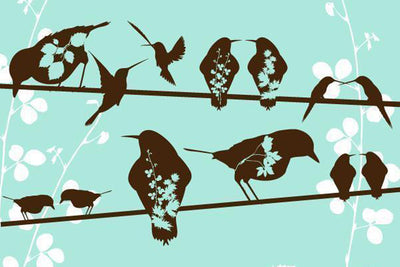 Talking Birds Wallpaper Mural