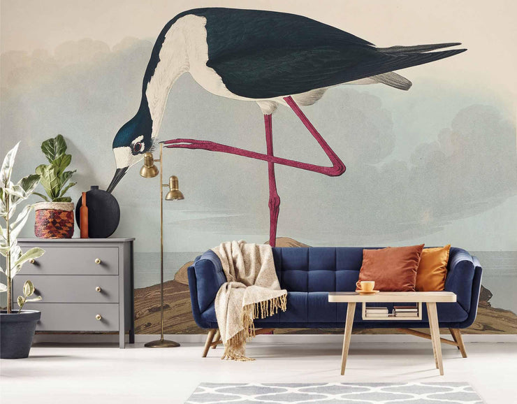 Long Legged Avocet Wall Mural