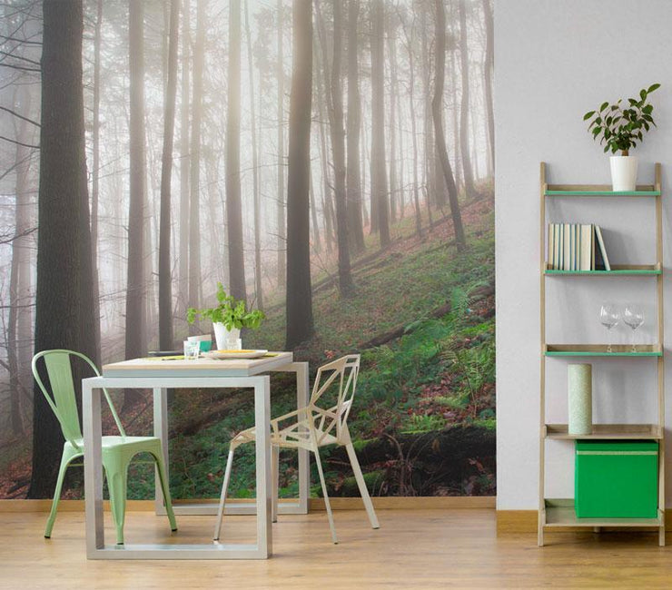 Old Forest Hill Wall Mural-Landscapes & Nature-Eazywallz